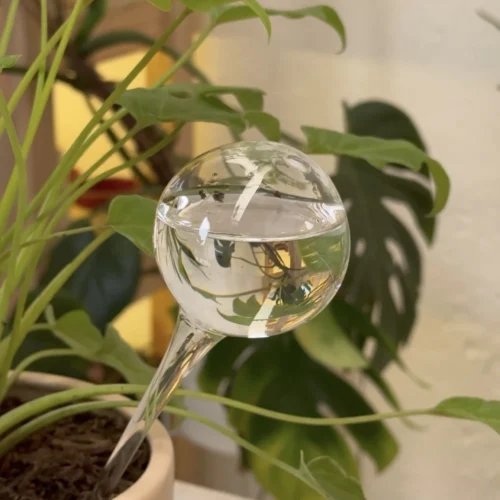 Jardín Haus | Gota de riego grande