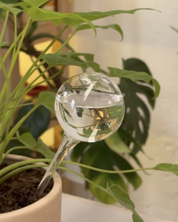 Jardín Haus | Gota de riego grande Jardín Haus | Gota de riego grande