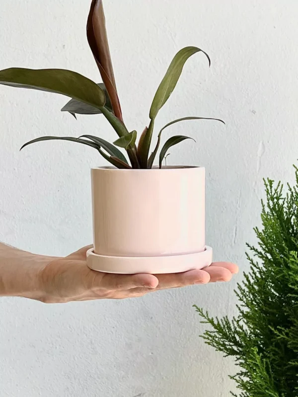 Jardín Haus | Maceta Cilindro Chico Con Plato Rosa Jardín Haus | Maceta Cilindro Chico Con Plato Rosa