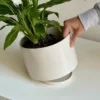 Jardín Haus | Maceta Cilindro XL con plato oculto piedra Jardín Haus | Maceta Cilindro XL con plato oculto piedra
