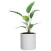 macetaRotomoldeoCilindroN30Blanco2 Jardin Haus | Maceta Cilindro Rotomoldeo N30 - Blanco