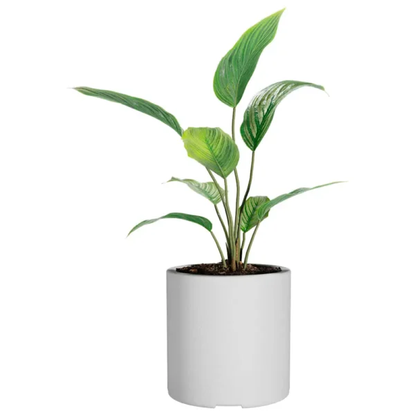 macetaRotomoldeoCilindroN30Blanco2 Jardin Haus | Maceta Cilindro Rotomoldeo N30 - Blanco