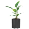 macetaRotomoldeoCilindroN30Negro2 Jardin Haus | Maceta Cilindro Rotomoldeo N30 - Negro