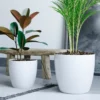 Jardín Haus | Maceta Premium - Blanco Jardín Haus | Maceta Premium - Blanco