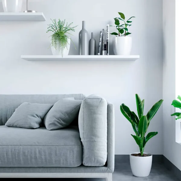 Jardín Haus | Maceta Premium N22 - Blanco Jardín Haus | Maceta Premium N22 - Blanco