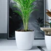 Jardín Haus | Maceta Premium N22 - Blanco Jardín Haus | Maceta Premium N22 - Blanco