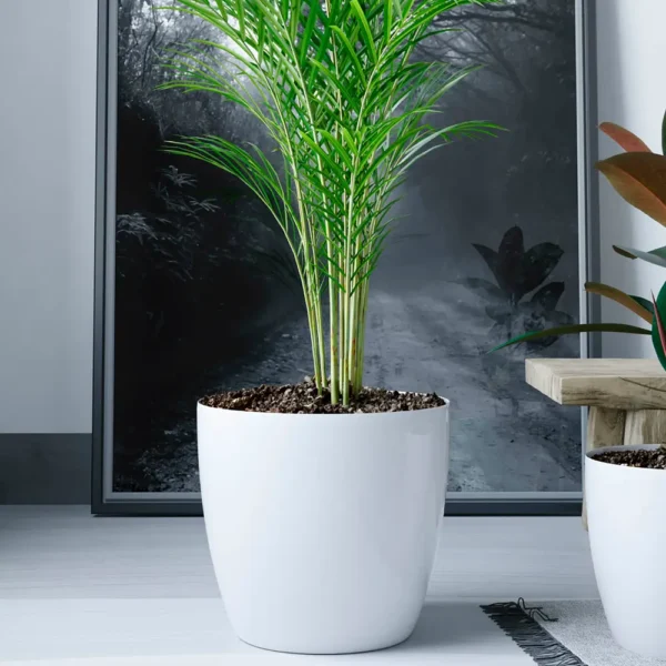 Jardín Haus | Maceta Premium N22 - Blanco Jardín Haus | Maceta Premium N22 - Blanco