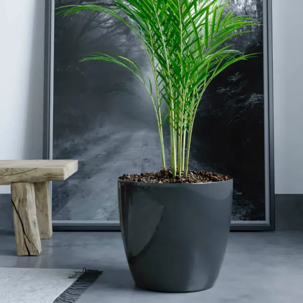 Jardín Haus | Maceta Premium N22 - Negro Jardín Haus | Maceta Premium N22 - Negro