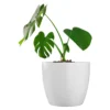 Jardín Haus | Maceta Premium N27 - Blanco Jardín Haus | Maceta Premium N27 - Blanco