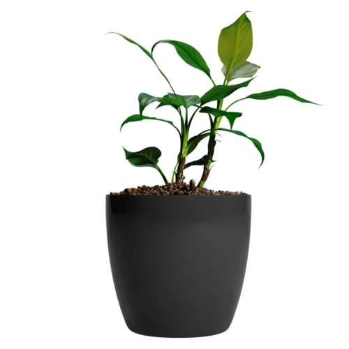 Jardín Haus | Maceta Premium N27 - Negro Jardín Haus | Maceta Premium N27 - Negro