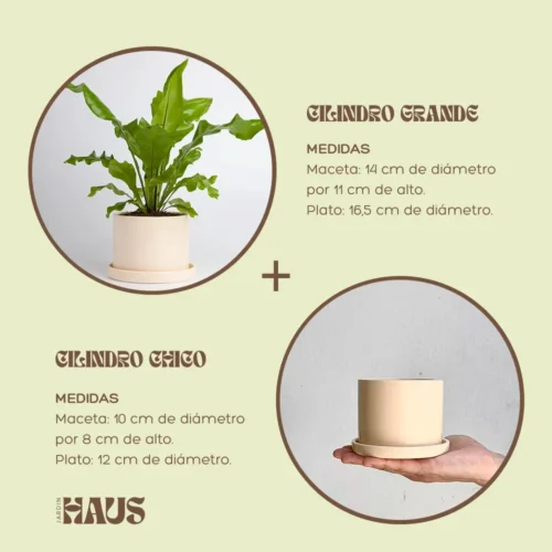 Jardin Haus | Combo Cilindro Grande + Cilindro Chico Champagne