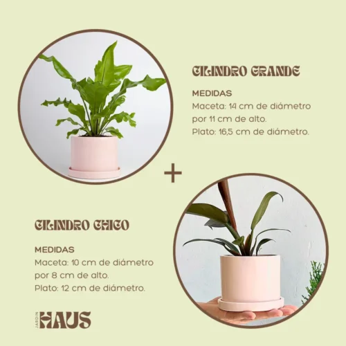 Jardin Haus | Combo Cilindro Grande + Cilindro Chico Rosa