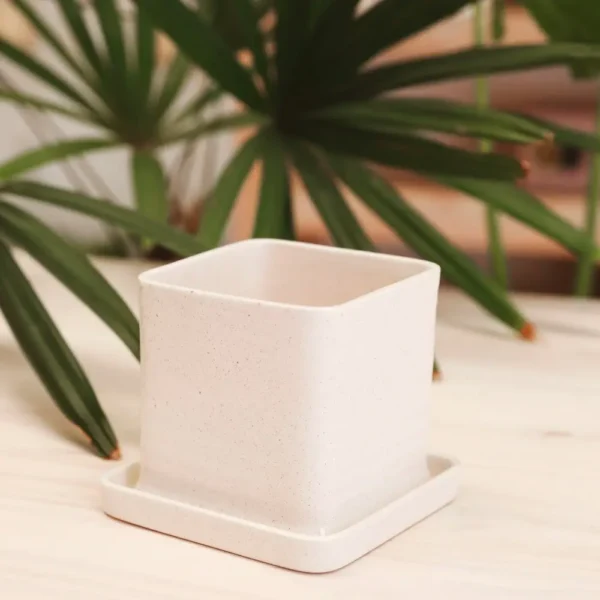 Jardín Haus | Maceta cuadrada con plato Piedra Jardín Haus | Maceta cuadrada con plato Piedra