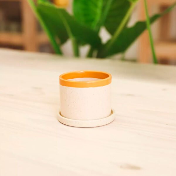 Jardín Haus | Maceta Cilindro Chico Combinada Con Plato Amarillo