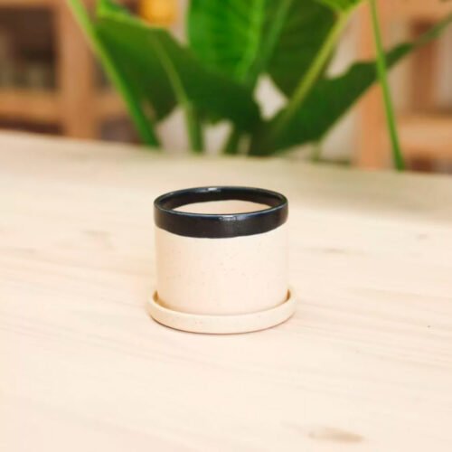 Jardín Haus | Maceta Cilindro Chico Combinada Con Plato Azul