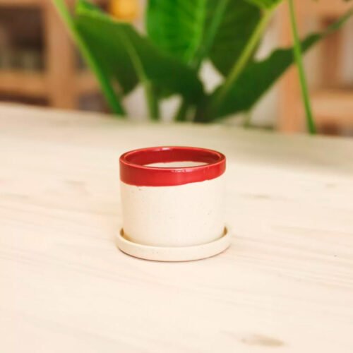 Jardín Haus | Maceta Cilindro Chico Combinada Con Plato Ciruela Jardín Haus | Maceta Cilindro Chico Combinada Con Plato Ciruela