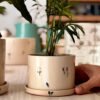 Jardín Haus | Maceta Cilindro Chico Con Plato Primavera Jardín Haus | Maceta Cilindro Chico Con Plato Primavera