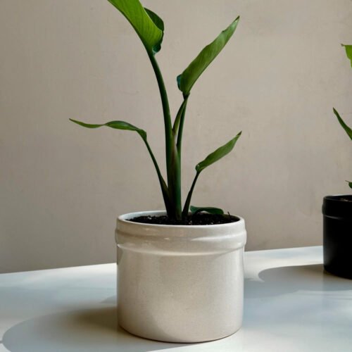 macetaMiniPintorPiedra Maceta Mini Pintor - Piedra