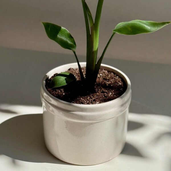 Jardín Haus | Maceta Mini Pintor color Piedra