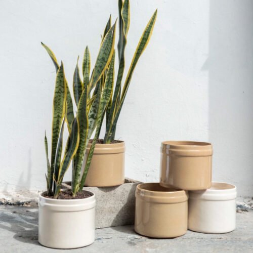 Jardín Haus | Maceta Pintor color Arena