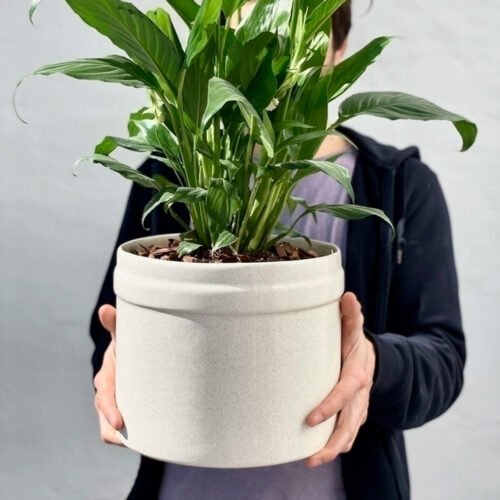 Jardín Haus | Maceta Pintor color Piedra